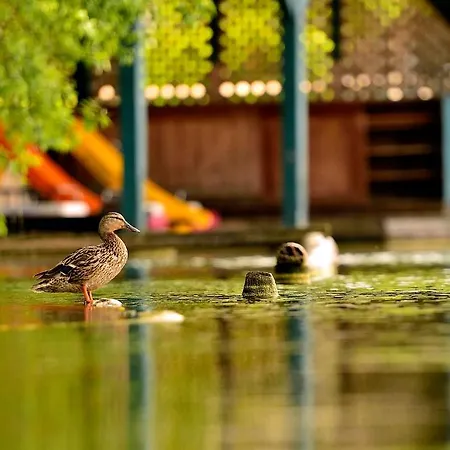 Presslauer Mori - Haus Irmgard 상트칸지안