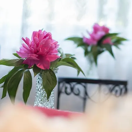 Presslauer Mori - Haus Irmgard 아파트 *