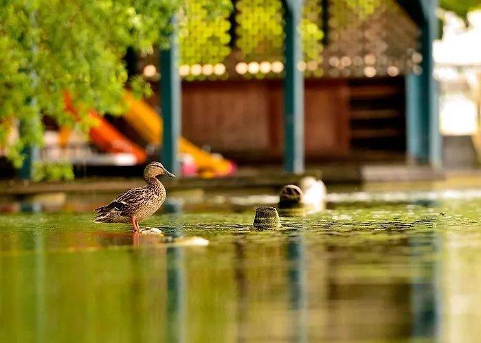 Presslauer Mori - Haus Irmgard Sankt Kanzian am Klopeiner See